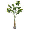 Vickerman Artificial Potted Grand Split Philodendron Tree - view 1 of 7