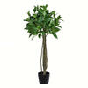 Vickerman Artificial Potted Bay Leaf Tree - view 1 of 3