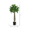 Vickerman Artificial Potted Bay Leaf Tree - view 3 of 3