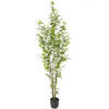 Vickerman Artificial Potted Mini Bamboo Tree - view 5 of 5