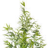 Vickerman Artificial Potted Mini Bamboo Tree - view 3 of 5