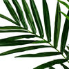 Vickerman Artificial Potted Kentia Palm - view 3 of 5
