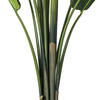 Vickerman Artificial Potted Travellers Palm Tree - view 6 of 6