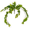 40" Pothos Hanging Bush 96 Leaves - view 1 of 5