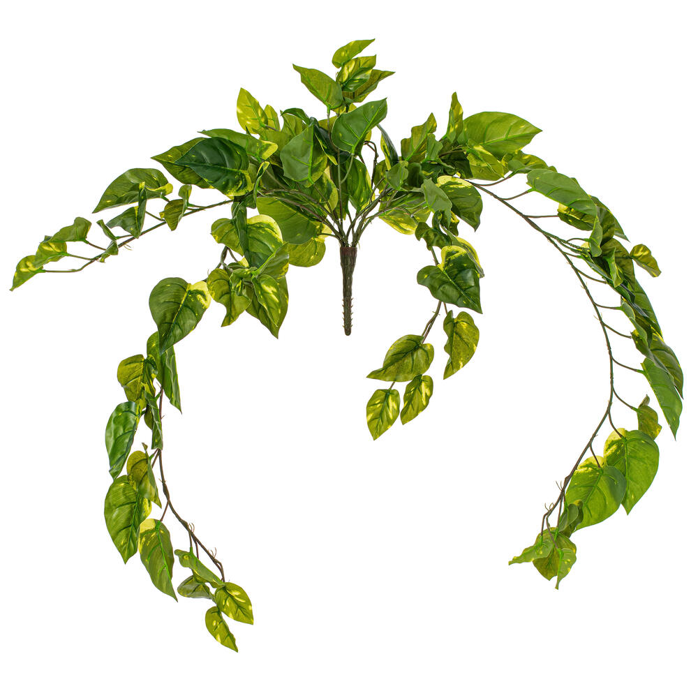 40" Pothos Hanging Bush 96 Leaves