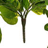 40" Pothos Hanging Bush 96 Leaves - view 5 of 5