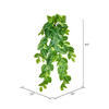 40" Pothos Hanging Bush 96 Leaves - view 2 of 5