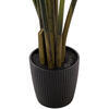 5' Potted Travelers Palm 8 Leaves - view 4 of 6