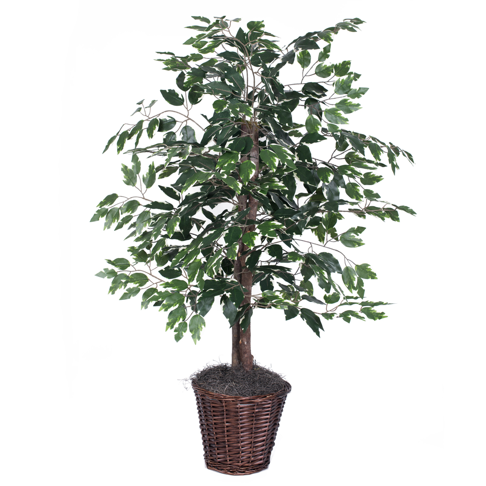 Vickerman Artificial Variegated Ficus Series