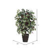 Vickerman Artificial Capensia Deluxe Potted Tree - view 4 of 4