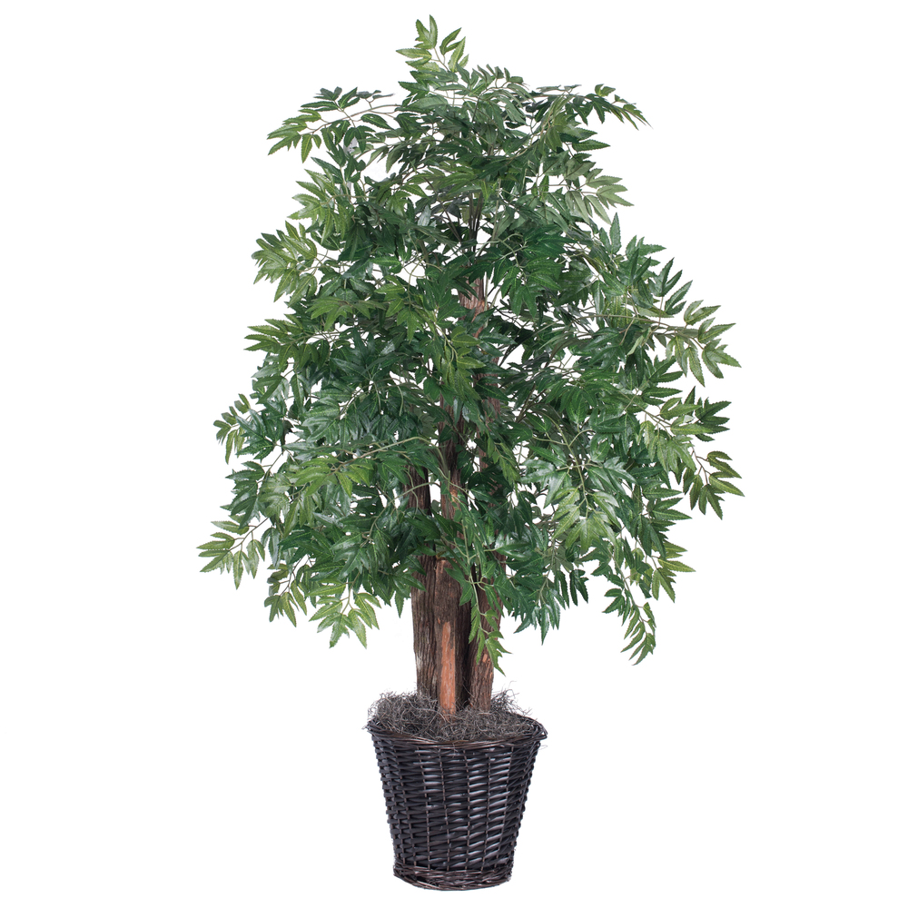 Vickerman Artificial Ming Aralia Bush