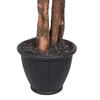 Vickerman Artificial Ming Aralia Bush - view 6 of 6