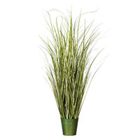 Native Grass