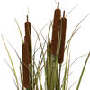 Vickerman Artificial Potted Green Grass with Cattails - view 4 of 5