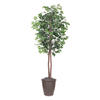 Vickerman Artificial 6' Ficus Potted Tree - view 1 of 4