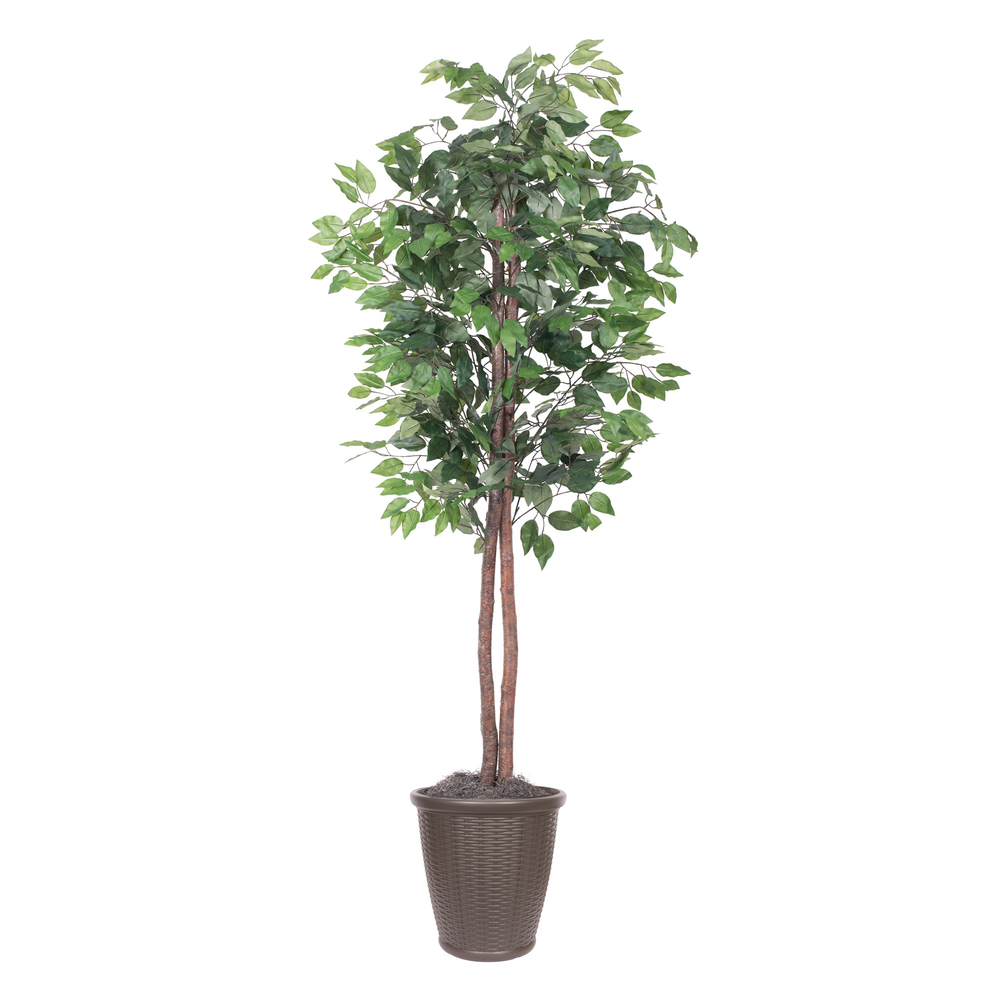 Vickerman Artificial 6' Ficus Potted Tree