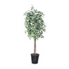 Vickerman 6' Artificial Variegated Ficus Tree - view 1 of 6