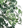 Vickerman 6' Artificial Variegated Ficus Tree - view 5 of 6