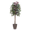 Vickerman Artificial 6' Capensia Potted Tree - view 1 of 4
