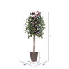 Vickerman Artificial 6' Capensia Potted Tree - view 4 of 4