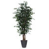 7' Ficus Executive Round Gray Container - view 1 of 3