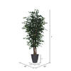 7' Ficus Executive Round Gray Container - view 3 of 3