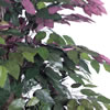 Vickerman Artificial Capensia Executive Potted Tree - view 5 of 6