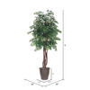 Vickerman Artificial Ming Aralia Extra Full Series - view 4 of 4
