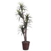 Vickerman Artificial Marginata Extra Full Series - view 1 of 6