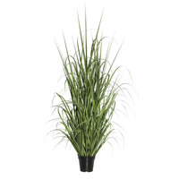 Ryegrass