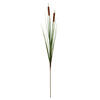 42" Grass Cattail Spray 4/pk - view 1 of 4