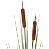 42" Grass Cattail Spray 4/pk - view 2 of 4