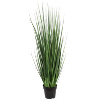 Extra Full Green Grass
