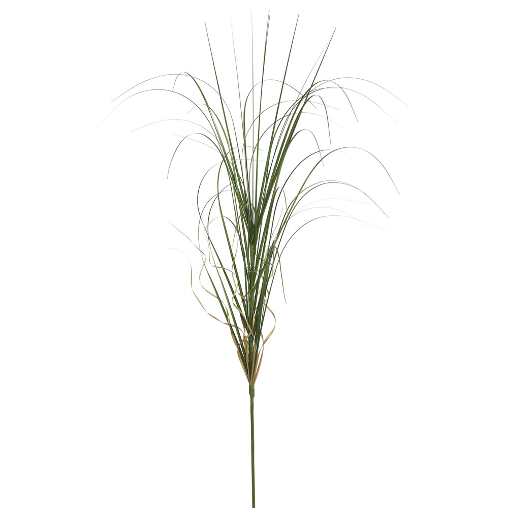 36" Green Curled Grass Spray 6/pk