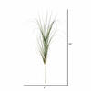 36" Green Curled Grass Spray 6/pk - view 2 of 3