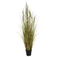 Green and Brown Grass