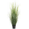 Vickerman Green Tufted Hairgrass Potted UV - view 1 of 5