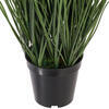 Vickerman Green Tufted Hairgrass Potted UV - view 4 of 5