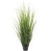 Vickerman Green Tufted Hairgrass Potted UV - view 5 of 5