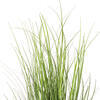 Vickerman Green Tufted Hairgrass Potted UV - view 3 of 5
