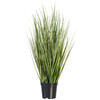 Vickerman Green Evergold Grass Potted UV - view 1 of 5