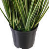 Vickerman Green Evergold Grass Potted UV - view 4 of 5