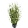Vickerman Green Evergold Grass Potted UV - view 5 of 5