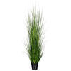 Green Lemongrass Potted - view 1 of 5