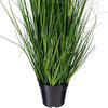 Green Lemongrass Potted - view 4 of 5