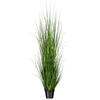 Green Lemongrass Potted - view 5 of 5