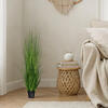 Green Lemongrass Potted - view 2 of 5