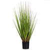 Green/Burgundy Flax Grass Potted - view 1 of 6