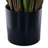 Green/Burgundy Flax Grass Potted - view 6 of 6