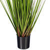 Green/Burgundy Flax Grass Potted - view 4 of 6